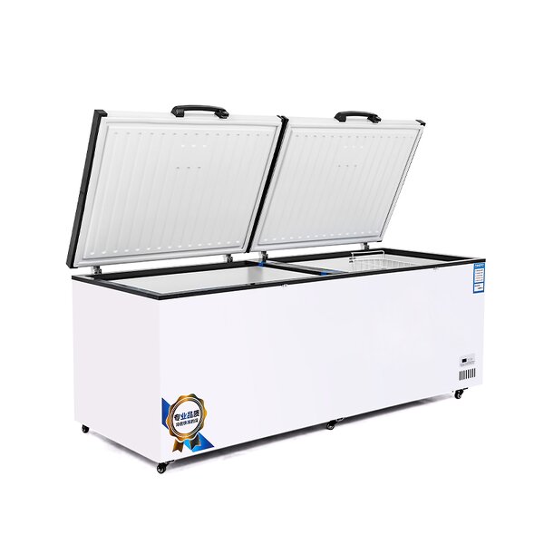 Deep Chest Freezer Supplier - High Quality Commercial Freezer