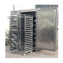 Blast Freezer Manufacturer - Quick Freezing Equipment with Fruit Pulp