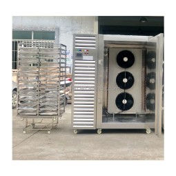 IQF Machine Manufacturer - Best Price Fully-automatic Top Quality Tunnel