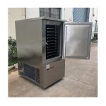 IQF Spiral Freezer Factory - Batch Single Spiral Type Quick Freezing Tunnels