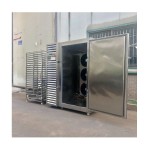 IQF Spiral Freezer Factory - Batch Single Spiral Type Quick Freezing Tunnels