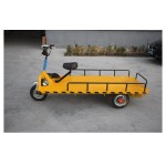 Cargo Cart Manufacturer - Powered Platform for Transportation