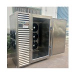 IQF Spiral Freezer Factory - Batch Single Spiral Type Quick Freezing Tunnels