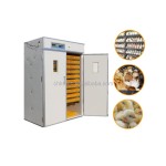 Incubators for Hatching Eggs Supplier - High Quality and Trade Assurance
