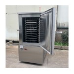 IQF Spiral Freezer Factory - Batch Single Spiral Type Quick Freezing Tunnels