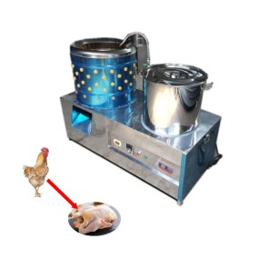 Chicken Plucker Machine Factory - Affordable Practical for Poultry Plant