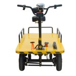 Platform Vehicle Supplier - Carrier Internal Transfer Warehouse