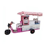 Mobile Food Car Manufacturer - High-quality Custom Motorised Food Tricycle