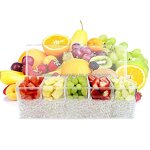 Ice Condiment Server Factory - 5 Compartment Bowl for Kitchen