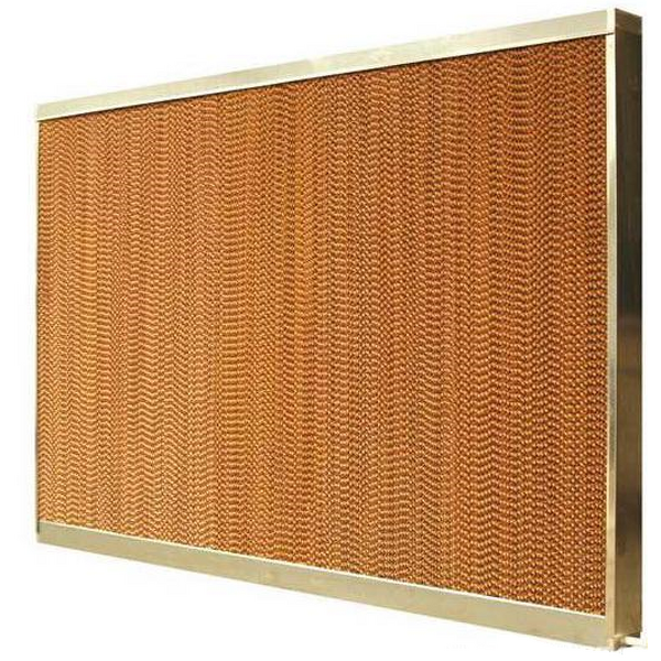 Plastic Incubator Manufacturer - for Swine Piglet Baby Animal