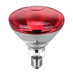 Horse Thermometer Supplier - Digital Dual Temperature Meter