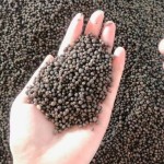 优质水田用DAP肥料