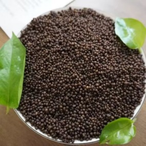 High Efficiency Fertilizer DAP for Farm Production