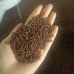 DAP肥料，颗粒均匀性好