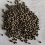 根系发育速效DAP肥料