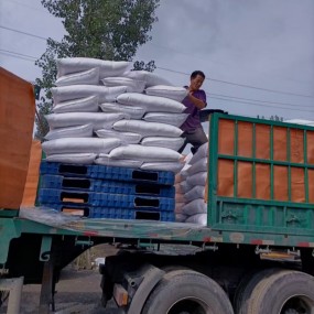 蔬菜强效增效剂DAP肥料