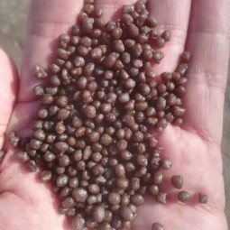 优质水田用DAP肥料
