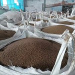 长期供应中国生产厂家DAP肥料