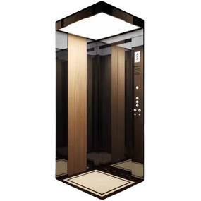 Residential Elevator Manufacturer - 2-4 Floors Small Fashion Design Villa Price