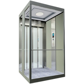 Hydraulic Home Elevator Manufacturer - Customized for Residential Restaurant 2 Floor