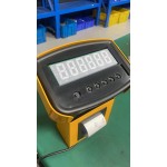 Manual Hydraulic Pallet Truck Supplier - 2-2.5T 2000-2500kg with Scale Printer