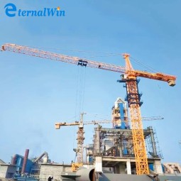 Tower Crane Manufacturer - 8-10ton 80m Luffing Jib Fast