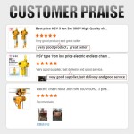 Chain Block Electric Hoist Manufacturer - Source Factory 380V/220V 20 Ton with Elevator Motor