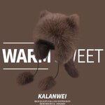 Knit Beanie Manufacturer - Faux Fur Raccoon Winter Plush