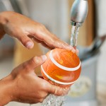 Dog Ball Toy Factory - Remote Control Motion Activated