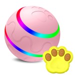 Dog Ball Toy Factory - Remote Control Motion Activated