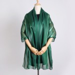 Chiffon Scarf Manufacturer - Women's Long Thin Solid Pattern