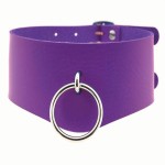 Choker Factory - Punk Leather Metal Collar Necklace