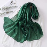 Chiffon Scarf Manufacturer - Women's Long Thin Solid Pattern