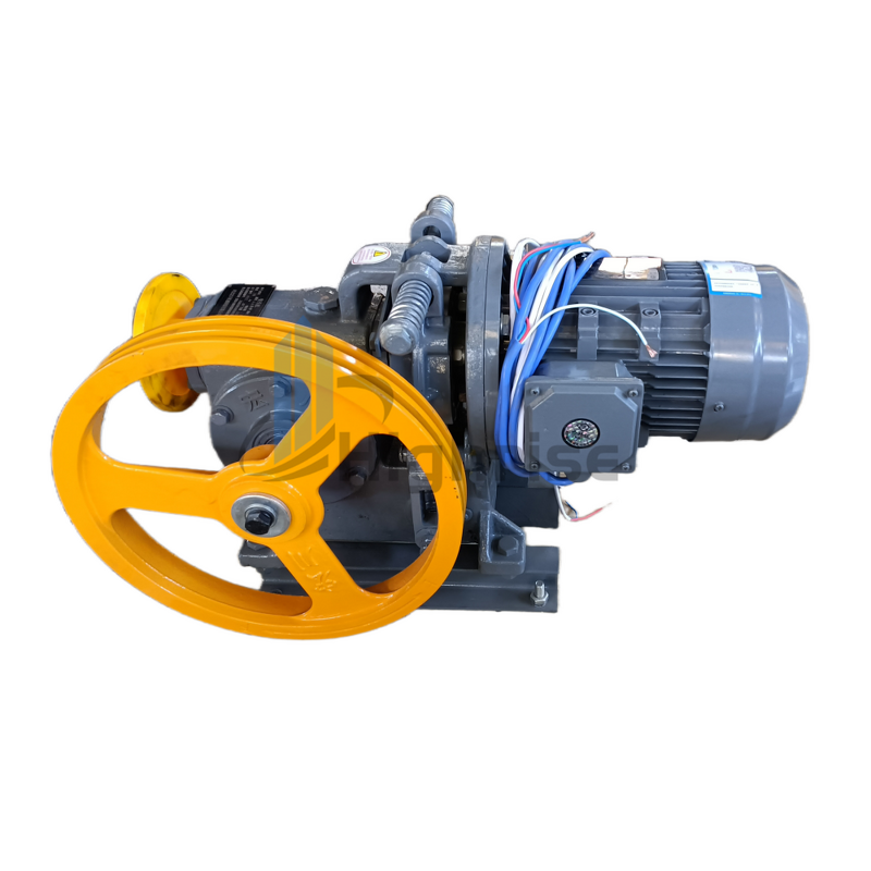 Traction Motor Manufacturer - 100-300kg Dumbwaiter Service