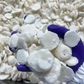 ALL Mix Vegetable Custom Shape Whole Slice Strip Dice Fresh IQF Frozen Water Chestnut