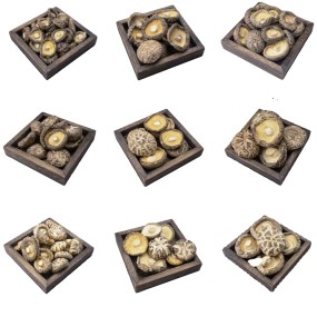 OEM ODM Free Sample Custom LOGO Wholesale High Quality Fujian Mushrooms Stir Fried Meat and Soup Ingredients Shiitake Mushrooms