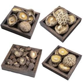 OEM ODM Free Sample Custom LOGO Wholesale High Quality Fujian Mushrooms Stir Fried Meat and Soup Ingredients Shiitake Mushrooms