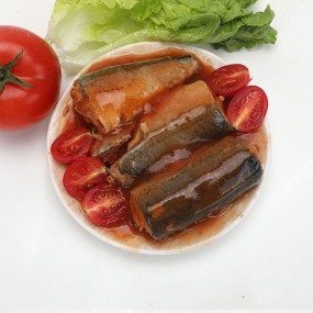 OEM ODM Free Sample Canned Fish Mackerel in Tomato Sauce/ Brine/oil With Approved Factory Price