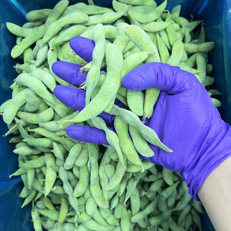 ALL Vegetable Custom OEM ODM Fresh IQF Frozen Soybean