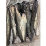 High Grade Cleaned Fresh Frozen China Catfish Whole Round  IQF ODM OEM