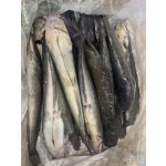HOT SALE High -Quality Whole Round Cleaned Fresh Frozen Catfish  ODM OEM
