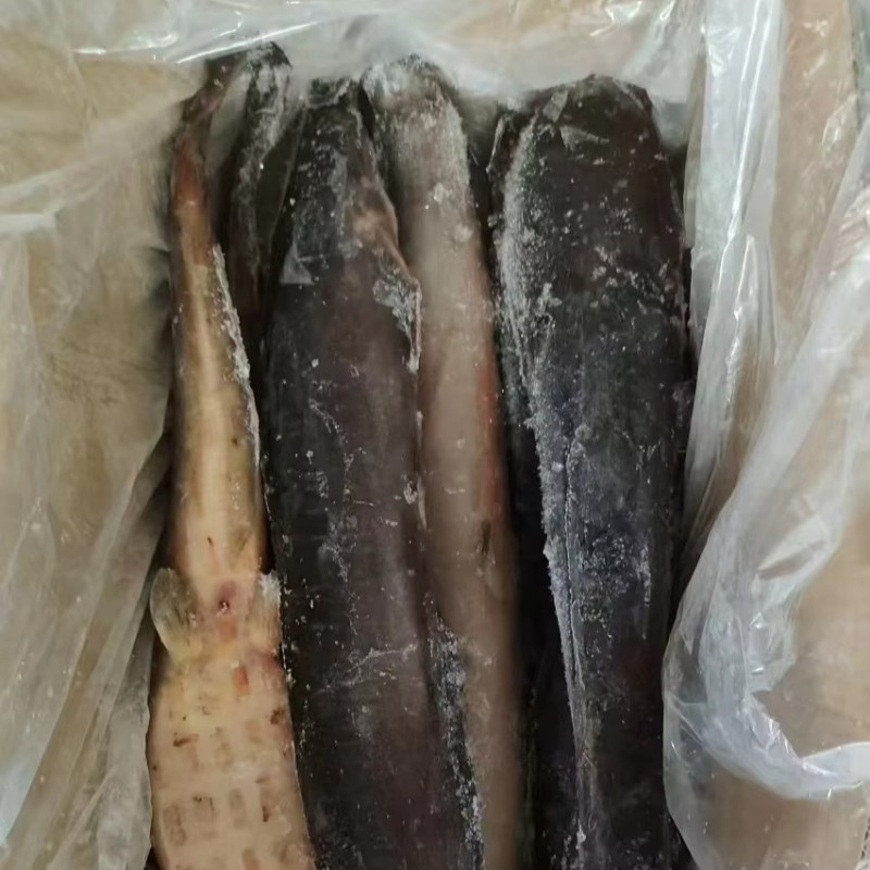 High-Quality BQF Whole Round Cleaned Frozen Catfish Wholesaler Custom Package
