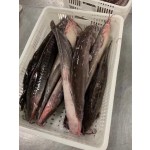 HOT SALE High -Quality Whole Round Cleaned Fresh Frozen Catfish  ODM OEM