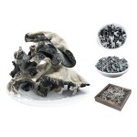 OEM ODM Free Sample Custom Package White Bcck Black Fungus