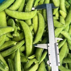 所有蔬菜定制形状整片,条状,小粒新鲜IQF冷冻甜豌豆