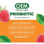 BIOCCHN OEM Halal Custom Gummy Candy Jelly Gummies Soft Candy Supplement Prebiotic Probiotics Gummies for Digestive Health