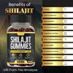 BIOCCHN OEM Halal Shilajit Gold Gummies Gummy Private Label Natural Organic Pure Himalayan Shilajit Gummies