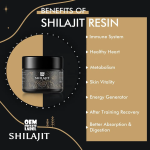 BIOCRICH Shilajit Resin with Rich Fulvic Acid Sourced From Himalayas
