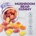 BIOCCHN OEM Private Label 10 Mushroom Blend Complex Lions Mane Mushroom Gummies for Brain Booster Immune Support