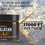 BIOCCHN Private Label Shilajit Resin Pure Himalyan Liquid Organic Shilajit Food Supplement Minerals Fulvic Acid Shilajit Resin